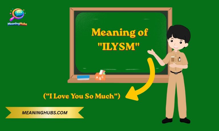 Definition & Meaning of "ILYSM"