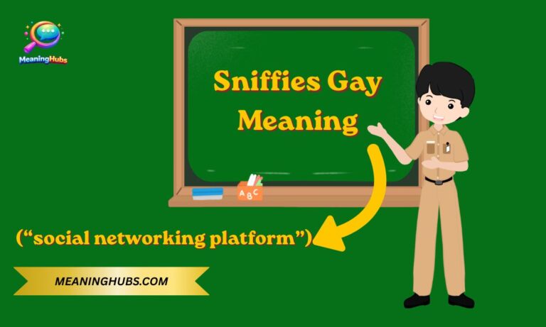 Sniffies Gay Meaning – What It Stands For, Text Usage